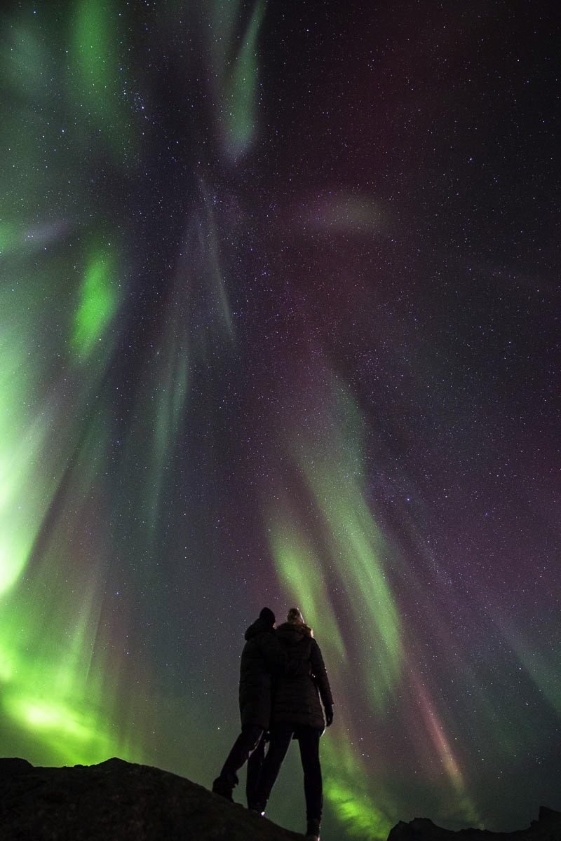 lofoten northern lights